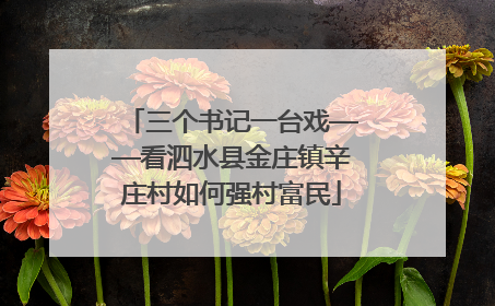 三个书记一台戏——看泗水县金庄镇辛庄村如何强村富民